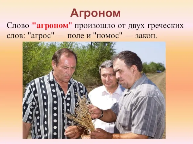 Агроном Слово "агроном" произошло от двух греческих слов: "агрос" — поле и "номос" — закон.