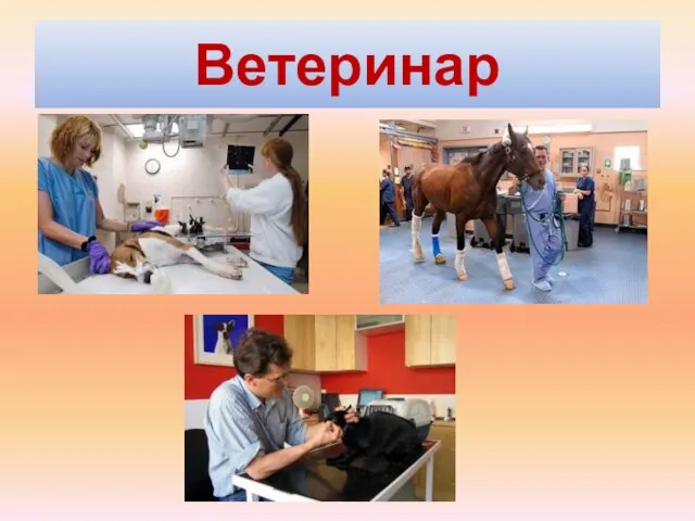 Ветеринар