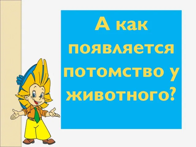 А как появляется потомство у животного?