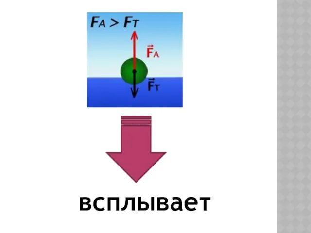 всплывает