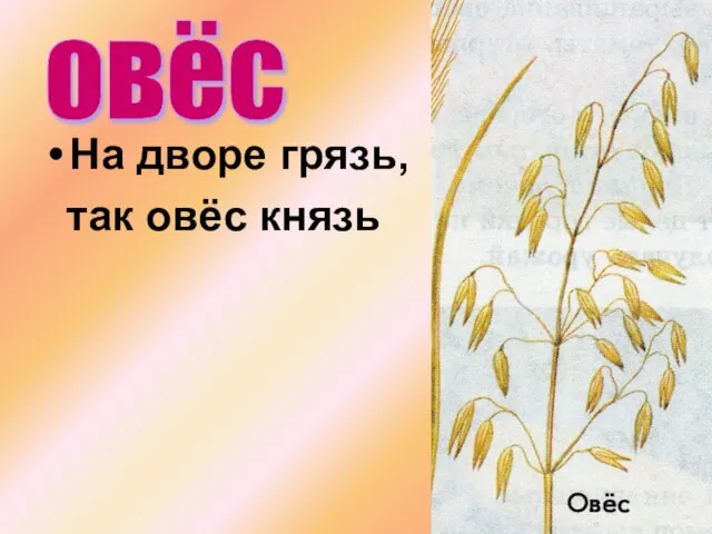 На дворе грязь, так овёс князь овёс