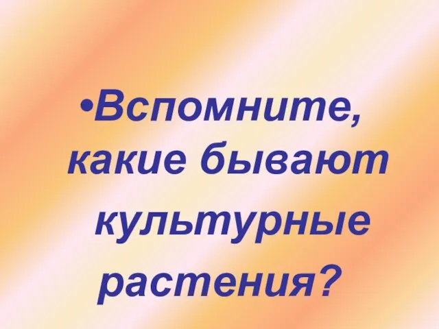 Вспомните, какие бывают культурные растения?