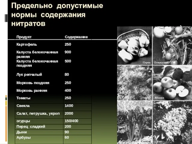 Предельно допустимые нормы содержания нитратов