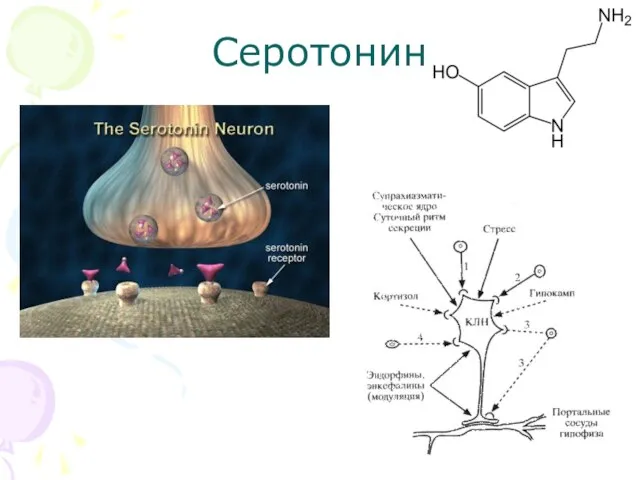 Серотонин