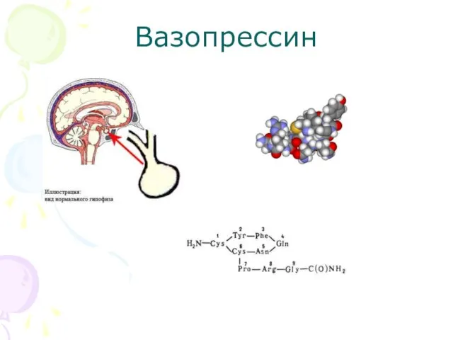 Вазопрессин