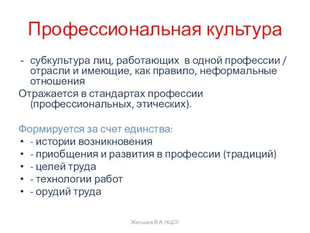 Профессиональная культура субкультура лиц, работающих в одной профессии / отрасли и