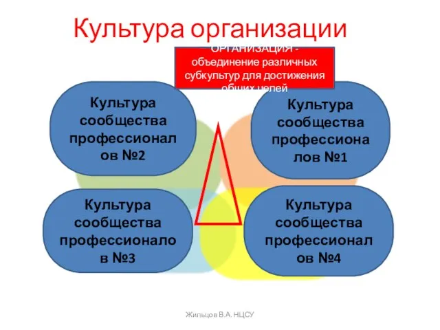 Культура организации Культура сообщества профессионалов №2 Культура сообщества профессионалов №3 Культура