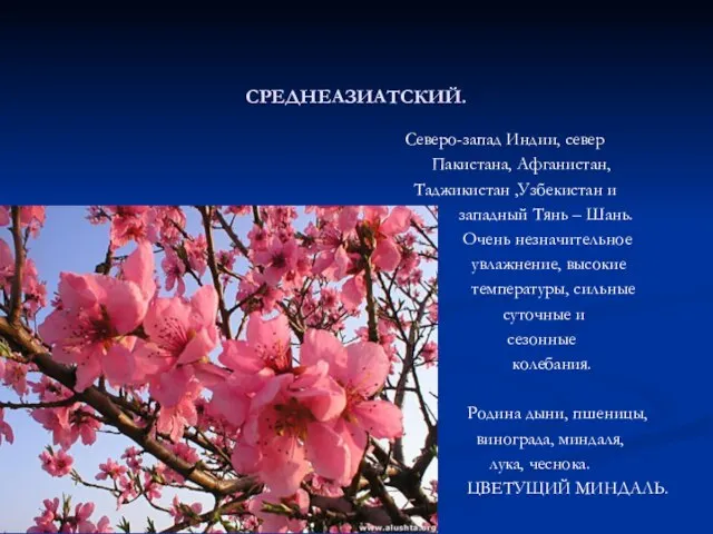 СРЕДНЕАЗИАТСКИЙ. Северо-запад Индии, север Пакистана, Афганистан, Таджикистан ,Узбекистан и западный Тянь