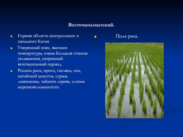 Восточноазиатский. Горные области центрального и западного Китая. Умеренный пояс, высокие температуры,