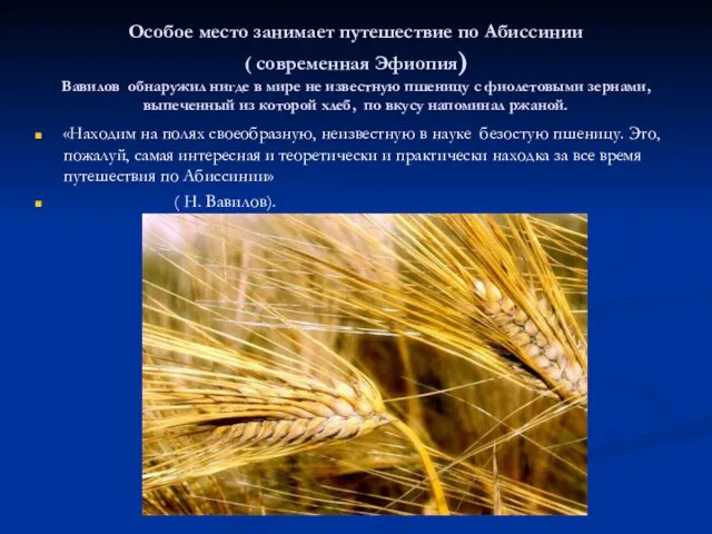 Особое место занимает путешествие по Абиссинии ( современная Эфиопия) Вавилов обнаружил