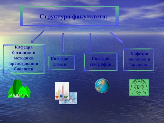 Структура факультета: Кафедра химии Кафедра ботаники и методики преподавания биологии Кафедра зоологии и экологии Кафедра географии