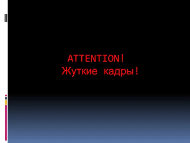 ATTENTION! Жуткие кадры!