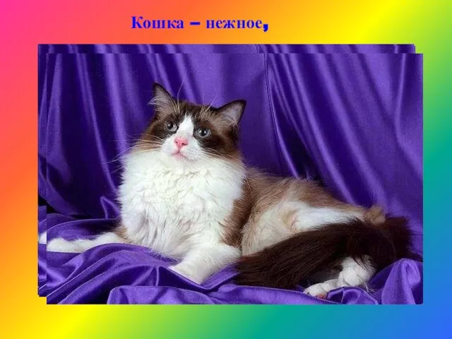 Кошка – нежное,