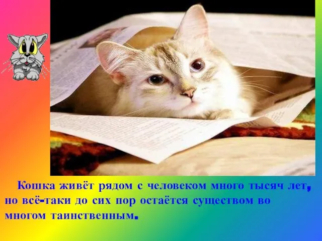 Кошка живёт рядом с человеком много тысяч лет, но всё-таки до