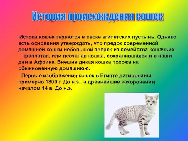 Истоки кошек теряются в песке египетских пустынь. Однако есть основания утверждать,