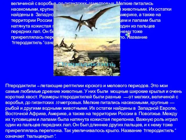 Птеродактили – летающие рептилии юрского и мелового периодов. Это мои самые