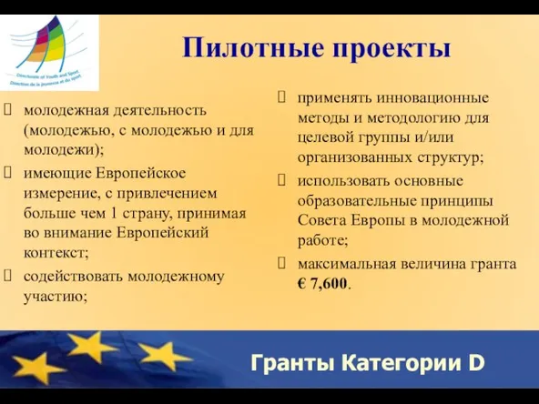 Гранты Категории D Пилотные проекты молодежная деятельность (молодежью, с молодежью и