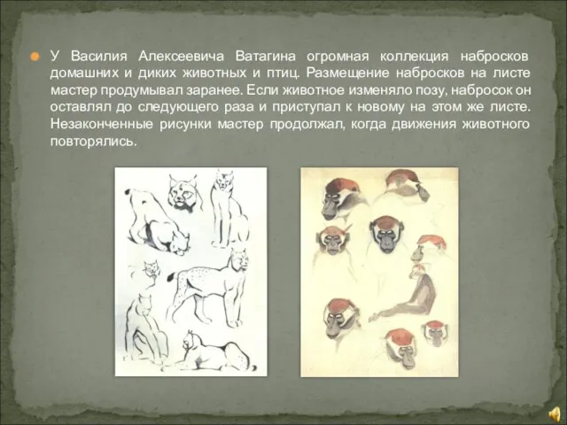 У Василия Алексеевича Ватагина огромная коллекция набросков домашних и диких животных