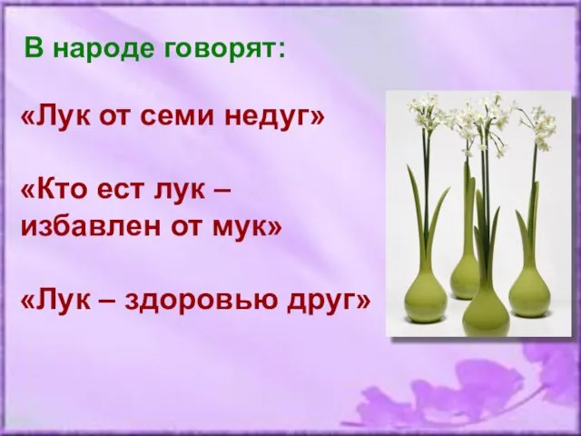 В народе говорят: «Лук от семи недуг» «Кто ест лук –