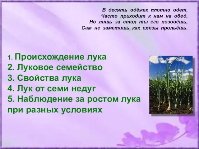 В десять одёжек плотно одет, Часто приходит к нам на обед.