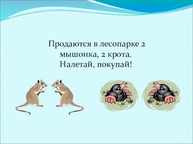 Продаются в лесопарке 2 мышонка, 2 крота. Налетай, покупай!