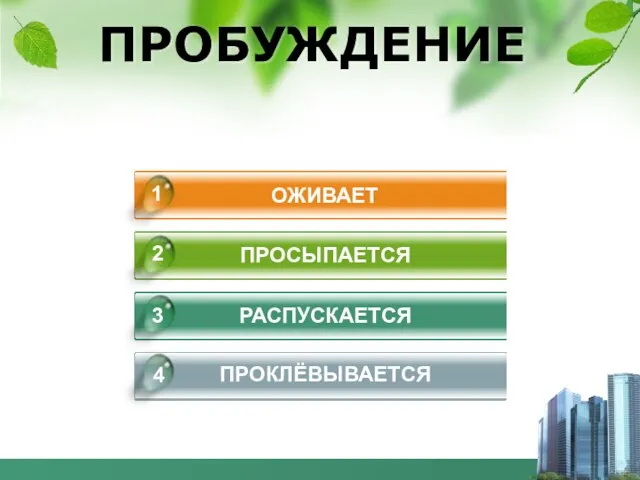 ПРОБУЖДЕНИЕ ОЖИВАЕТ ПРОСЫПАЕТСЯ РАСПУСКАЕТСЯ ПРОКЛЁВЫВАЕТСЯ 4 1 2 3