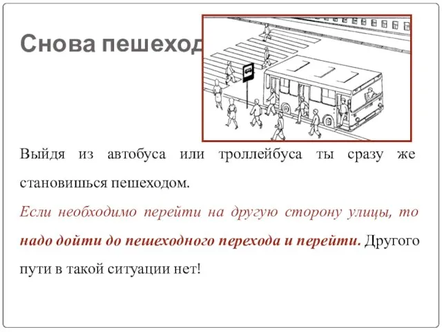 Снова пешеход Выйдя из автобуса или троллейбуса ты сразу же становишься