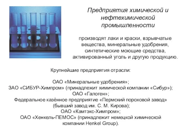 Крупнейшие предприятия отрасли: ОАО «Минеральные удобрения»; ЗАО «СИБУР-Химпром» (принадлежит химической компании