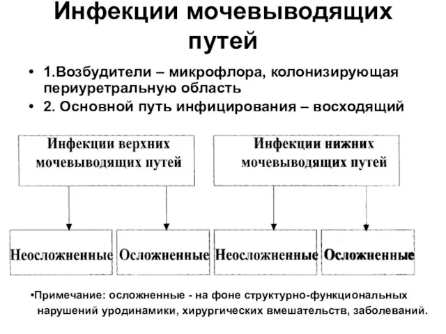 Инфекции мочевыводящих путей 1.Возбудители – микрофлора, колонизирующая периуретральную область 2. Основной