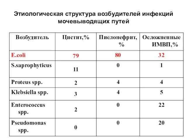 Этиологическая структура возбудителей инфекций мочевыводящих путей