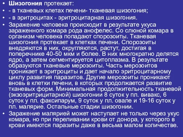 Шизогония протекает: - в тканевых клетах печени- тканевая шизогония; - в