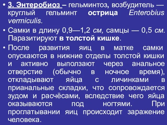 3. Энтеробиоз – гельминтоз, возбудитель — круглый гельминт острица Enterobius vermiculis.