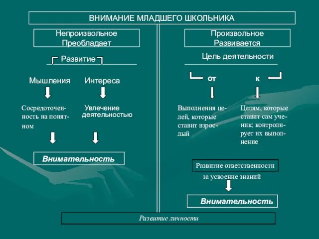 ВНИМАНИЕ МЛАДШЕГО ШКОЛЬНИКА Непроизвольное Преобладает Произвольное Развивается Развитие Цель деятельности Мышления