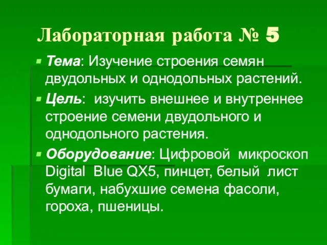 Лабораторная работа № 5 Тема: Изучение строения семян двудольных и однодольных