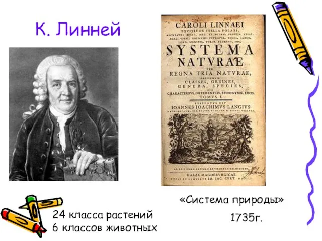 К. Линней «Система природы» 1735г. 24 класса растений 6 классов животных