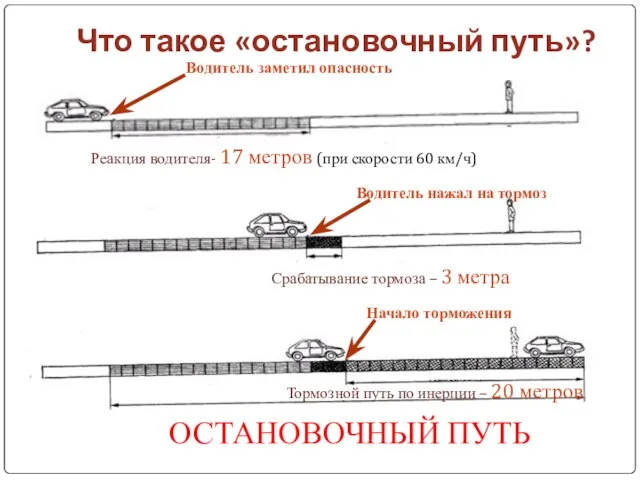 Что такое «остановочный путь»? Водитель заметил опасность Реакция водителя- 17 метров