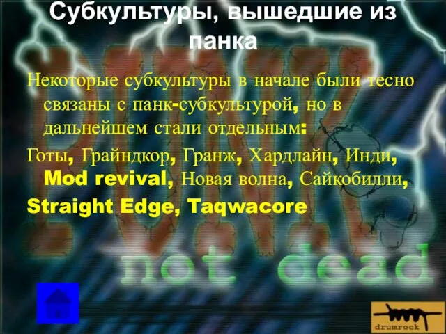 Субкультуры, вышедшие из панка Некоторые субкультуры в начале были тесно связаны