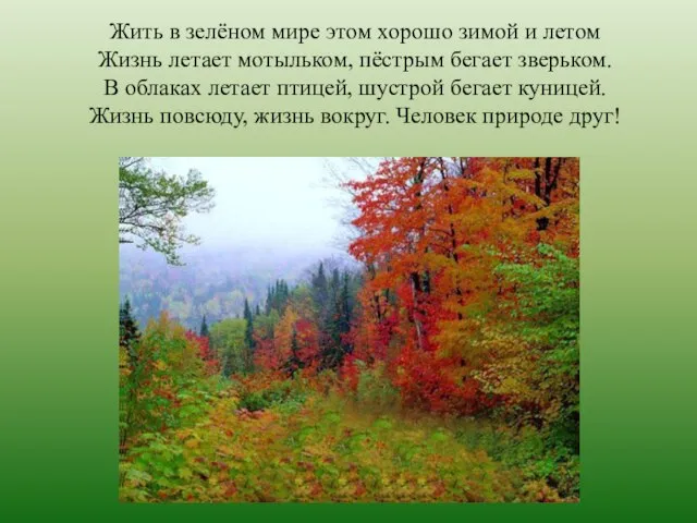 Жить в зелёном мире этом хорошо зимой и летом Жизнь летает