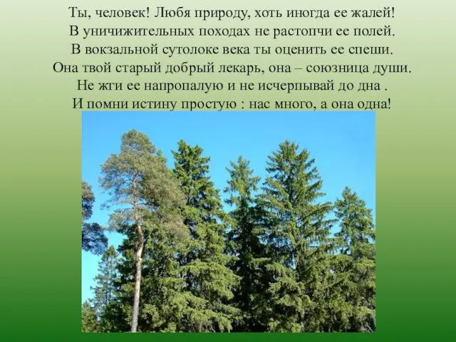 Ты, человек! Любя природу, хоть иногда ее жалей! В уничижительных походах