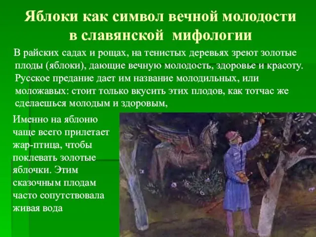 Яблоки как символ вечной молодости в славянской мифологии В райских садах