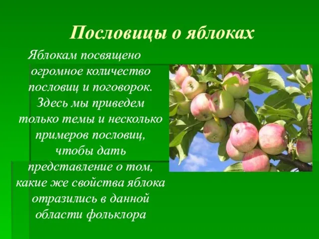 Пословицы о яблоках Яблокам посвящено огромное количество пословиц и поговорок. Здесь