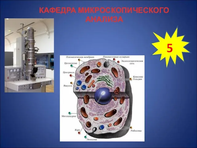 КАФЕДРА МИКРОСКОПИЧЕСКОГО АНАЛИЗА 5