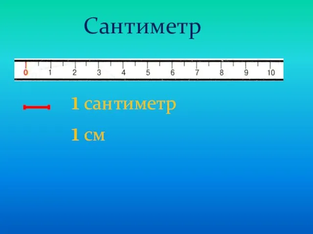 Сантиметр 1 сантиметр 1 см