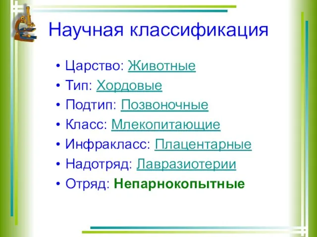 Научная классификация Царство: Животные Тип: Хордовые Подтип: Позвоночные Класс: Млекопитающие Инфракласс: Плацентарные Надотряд: Лавразиотерии Отряд: Непарнокопытные