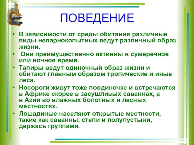 ПОВЕДЕНИЕ В зависимости от среды обитания различные виды непарнокопытных ведут различный