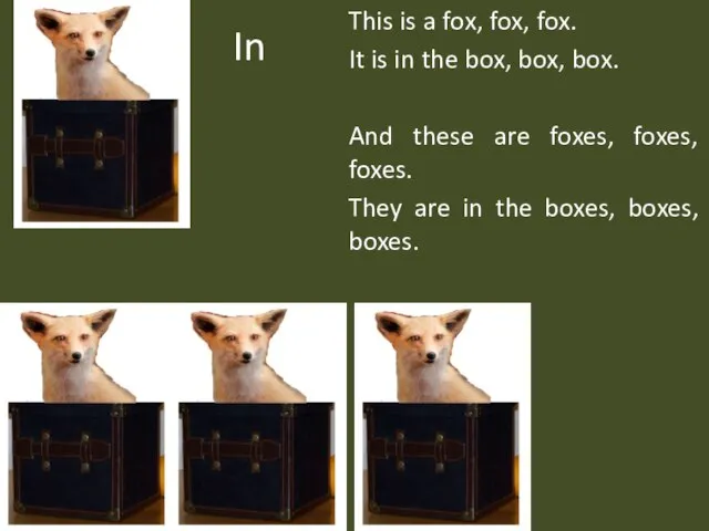 In This is a fox, fox, fox. It is in the