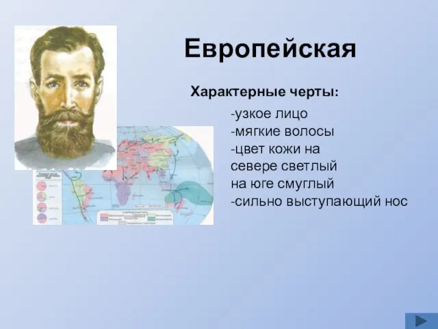 Европейская Характерные черты: -узкое лицо -мягкие волосы -цвет кожи на севере