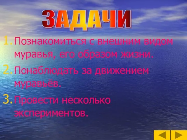 ЗАДАЧИ Познакомиться с внешним видом муравья, его образом жизни. Понаблюдать за движением муравьёв. Провести несколько экспериментов.