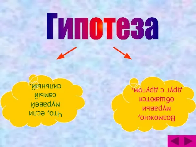 Гипотеза Что, если муравей самый сильный. Возможно, муравьи общаются друг с другом.