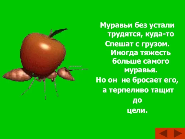 Муравьи без устали трудятся, куда-то Спешат с грузом. Иногда тяжесть больше